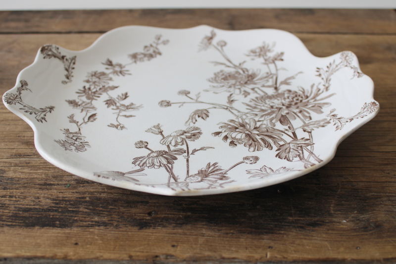 photo of antique Victorian transferware china plate brown Chrysanthemum George Jones England  #8