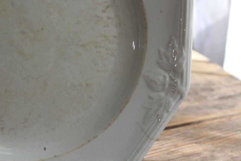 photo of antique Wedgwood china plate, 1800s white ironstone embossed border fig or horse chestnut #2