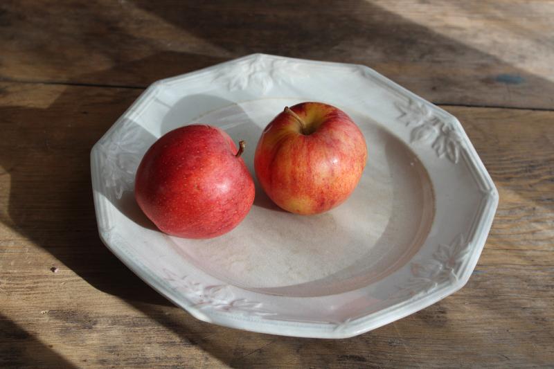 photo of antique Wedgwood china plate, 1800s white ironstone embossed border fig or horse chestnut #6