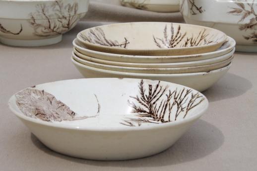 photo of antique Wedgwood seaweed brown transferware china, aesthetic vintage tea set dishes  #4