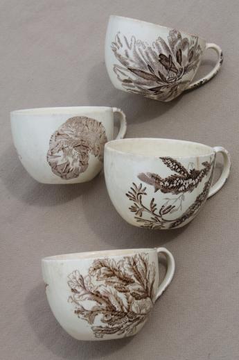 photo of antique Wedgwood seaweed brown transferware china, aesthetic vintage tea set dishes  #5