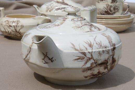 photo of antique Wedgwood seaweed brown transferware china, aesthetic vintage tea set dishes  #10