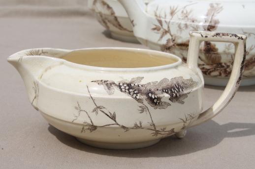 photo of antique Wedgwood seaweed brown transferware china, aesthetic vintage tea set dishes  #13
