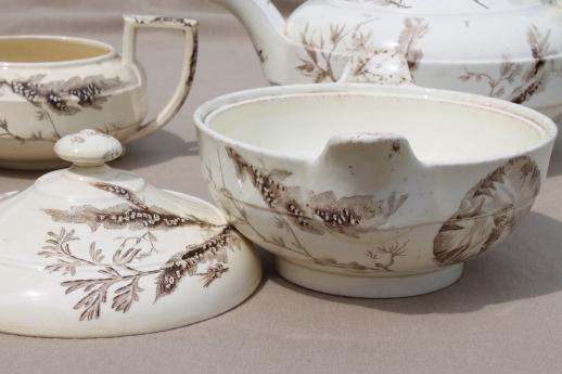 photo of antique Wedgwood seaweed brown transferware china, aesthetic vintage tea set dishes  #15