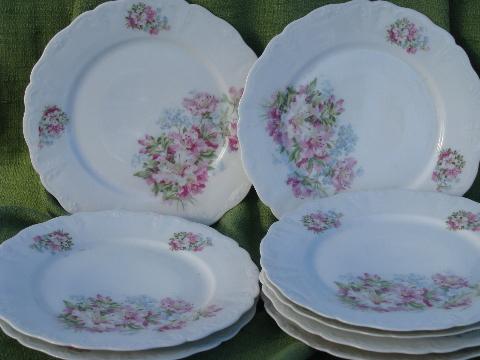 photo of antique azalea lily floral china luncheon/dinner plates, vintage Germany? #1