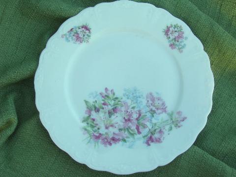 photo of antique azalea lily floral china luncheon/dinner plates, vintage Germany? #2