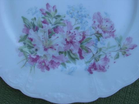 photo of antique azalea lily floral china luncheon/dinner plates, vintage Germany? #3