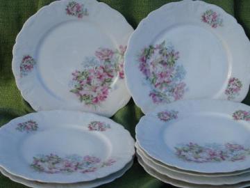 catalog photo of antique azalea lily floral china luncheon/dinner plates, vintage Germany?