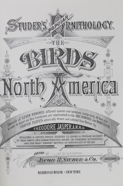 photo of antique bird prints vintage reproduction Studer's Birds of North America Theo Jasper #3