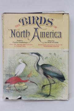 catalog photo of antique bird prints vintage reproduction Studer's Birds of North America Theo Jasper