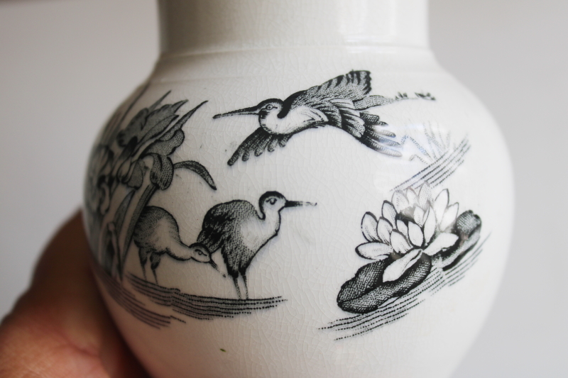 photo of antique black transferware birds pattern ironstone china Victorian era toothbrush holder vase  #8