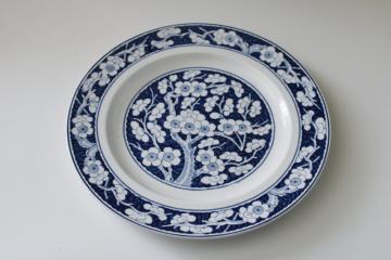 antique blue & white china plate Booths England Hawthorne flowering branches pattern 