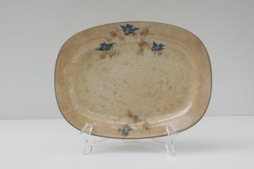 catalog photo of antique bluebird china platter or tray, shabby browned stained china early 1900s vintage