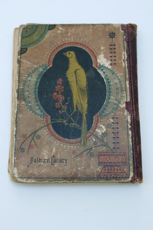 photo of antique book Canary bird raising cage birds breeding & care, types of canaries #9