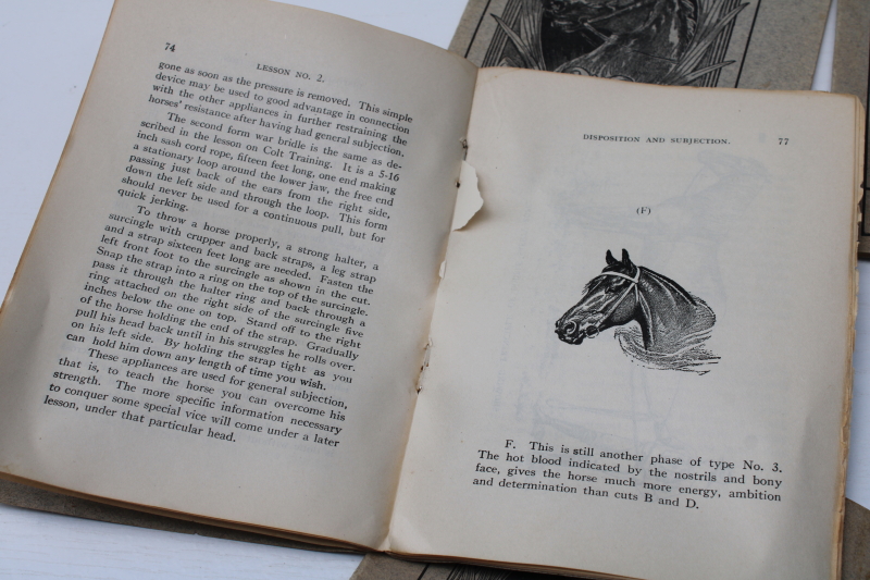 photo of antique books horse training & care, Prof Beery Mail Course in Horsemanship early 1900s vintage  #7