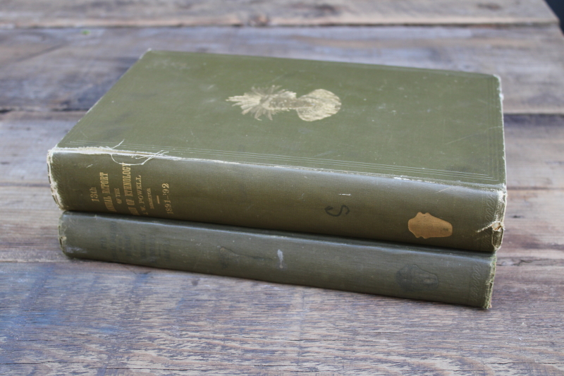 photo of antique books large volumes from Bureau of American Ethnology articles on native cultures  #1