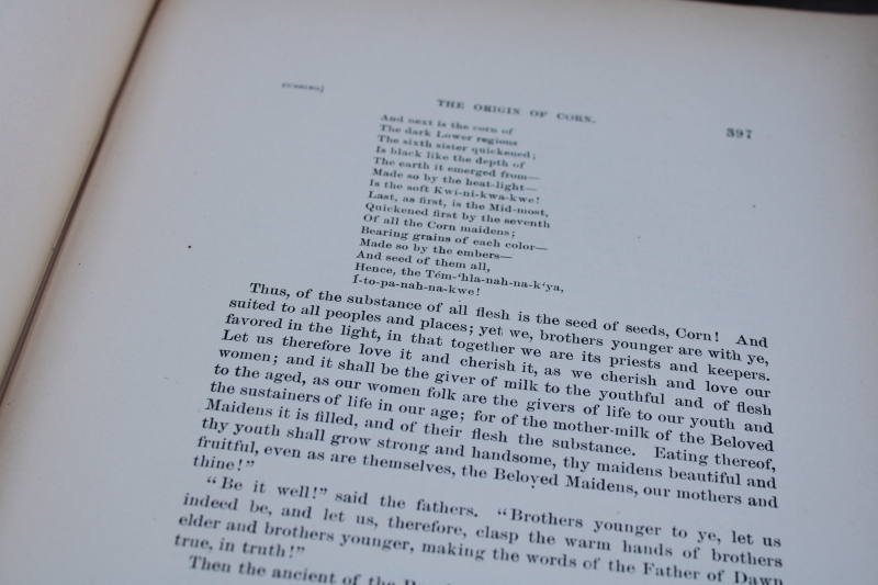 photo of antique books large volumes from Bureau of American Ethnology articles on native cultures  #3