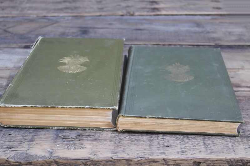 photo of antique books large volumes from Bureau of American Ethnology articles on native cultures  #11