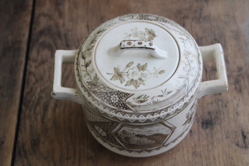 photo of antique brown transferware china biscuit jar or large sugar bowl 1800s vintage aesthetic design #6