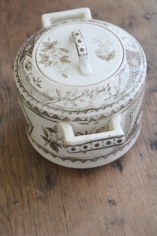 photo of antique brown transferware china biscuit jar or large sugar bowl 1800s vintage aesthetic design #7