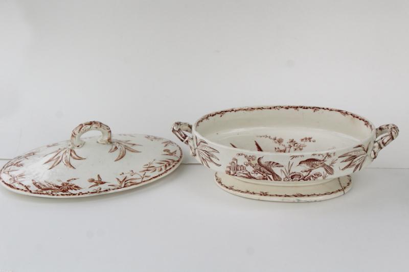 photo of antique brown transferware china covered dish, Indus aesthetic birds botanical pattern #1