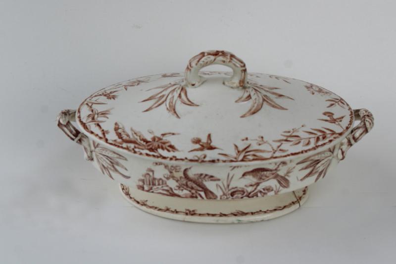 photo of antique brown transferware china covered dish, Indus aesthetic birds botanical pattern #4