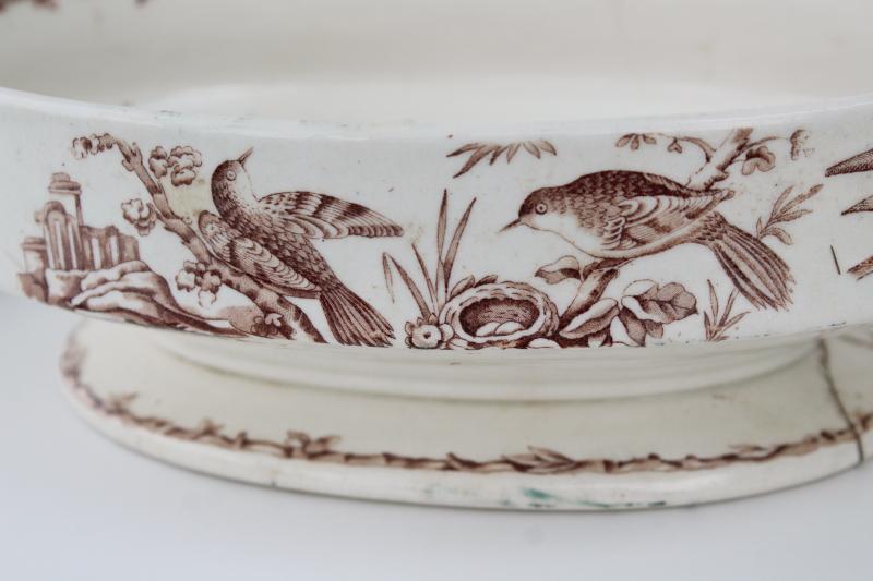 photo of antique brown transferware china covered dish, Indus aesthetic birds botanical pattern #5