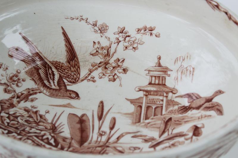 photo of antique brown transferware china covered dish, Indus aesthetic birds botanical pattern #6