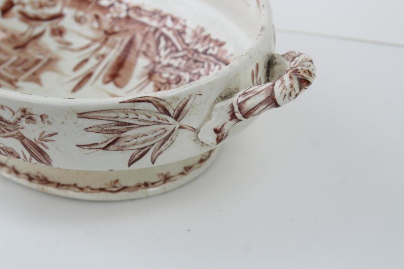 photo of antique brown transferware china covered dish, Indus aesthetic birds botanical pattern #10