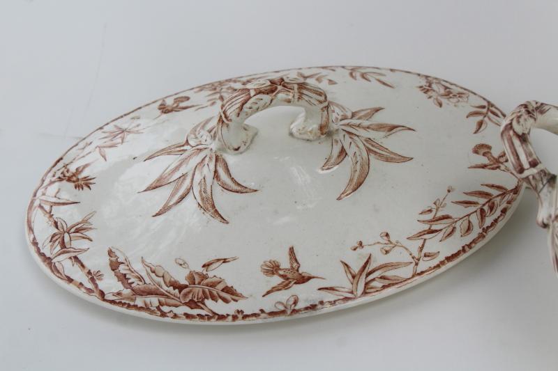 photo of antique brown transferware china covered dish, Indus aesthetic birds botanical pattern #11