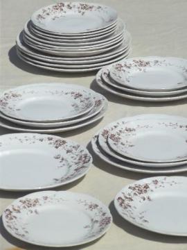 catalog photo of antique brown transferware plates, English Staffordshire ironstone china