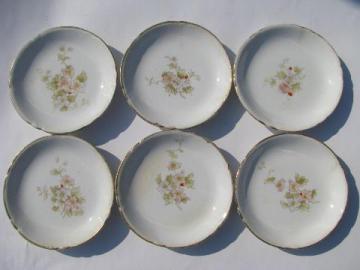 catalog photo of antique china butter pat plates, vintage transferware