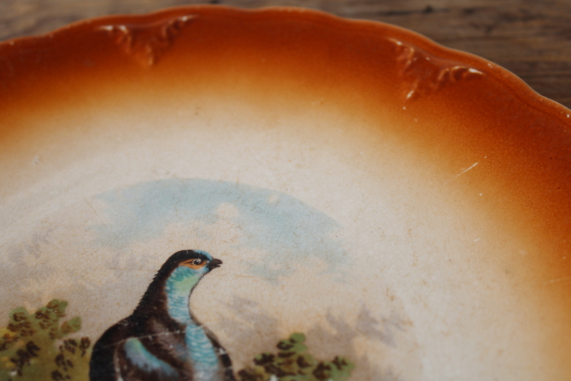 photo of antique china game bird grouse plate, shabby stained crazing 1800s vintage Petrus Ragout pottery  #7