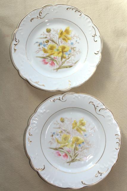 photo of antique china w/ hand painted flowers, pretty floral designs - set of 10 salad / dessert plates #10