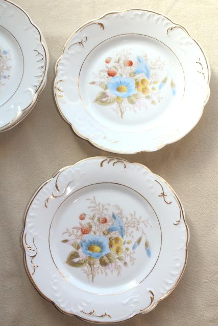 photo of antique china w/ hand painted flowers, pretty floral designs - set of 10 salad / dessert plates #12