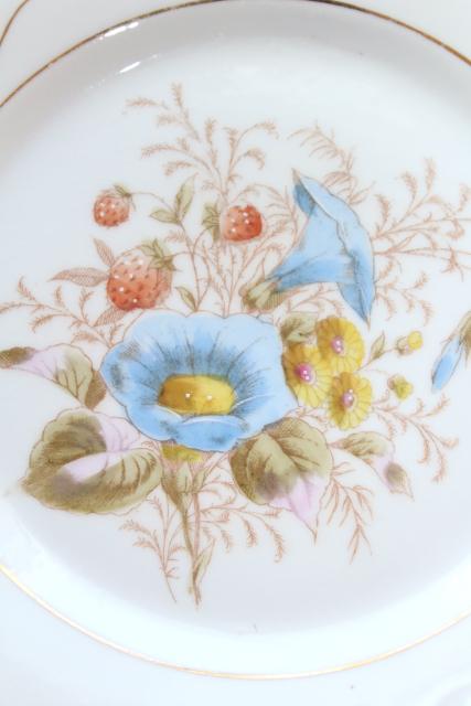 photo of antique china w/ hand painted flowers, pretty floral designs - set of 10 salad / dessert plates #13