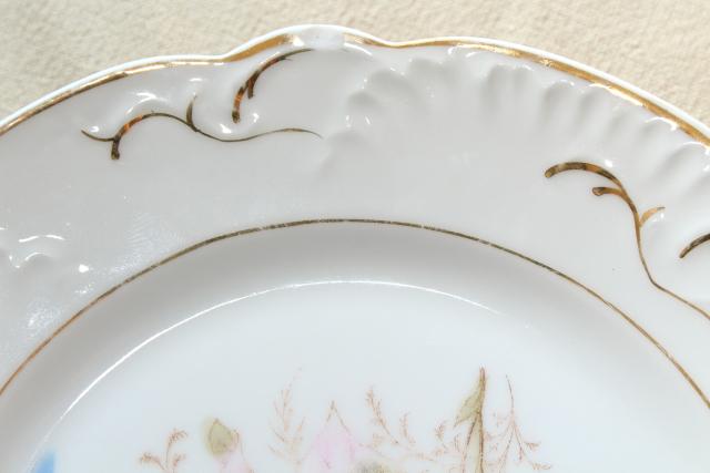 photo of antique china w/ hand painted flowers, pretty floral designs - set of 10 salad / dessert plates #14