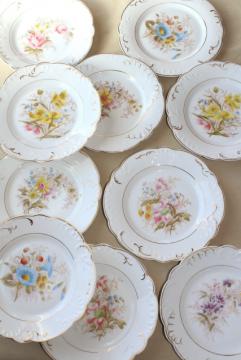 catalog photo of antique china w/ hand painted flowers, pretty floral designs - set of 10 salad / dessert plates