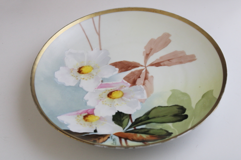 photo of antique china plate Imperial Austria Handpainted, factory painted artist signed early 1900s backstamp #3