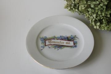 catalog photo of antique china plate Remember Me motto forget me nots flowers early 1900s vintage 