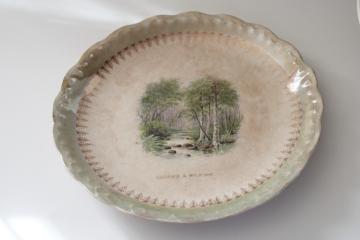 antique china plate w/ birch trees woodland brook, circa 1900 browned stained vintage advertising piece