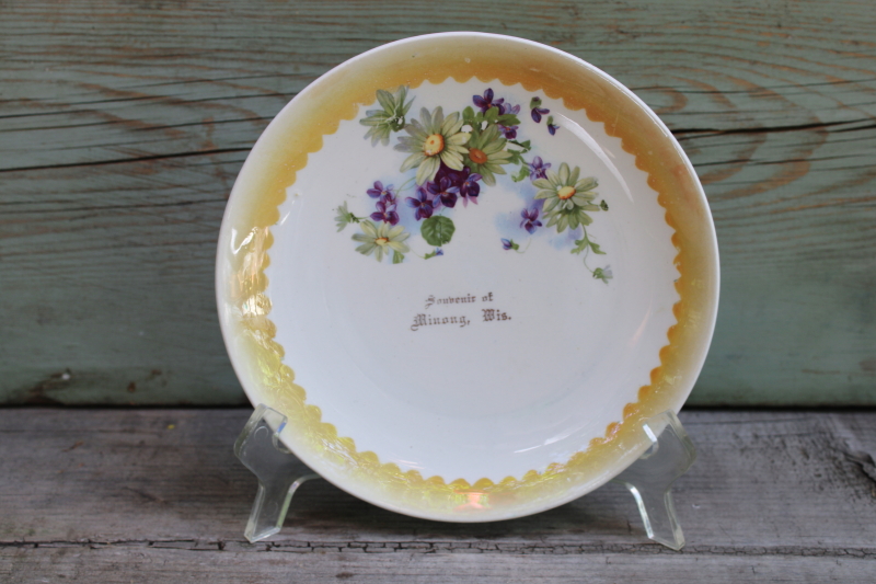 photo of antique china plate, early 1900s vintage souvenir of up north Minong Wisconsin  #1