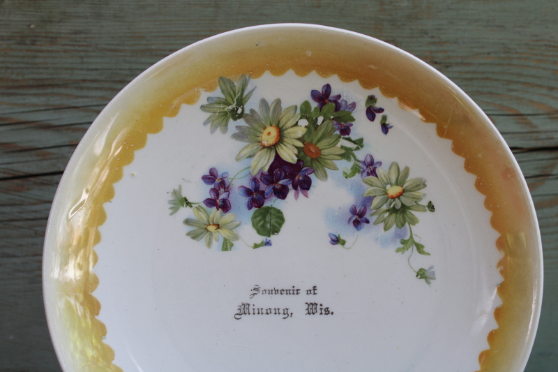 photo of antique china plate, early 1900s vintage souvenir of up north Minong Wisconsin  #2