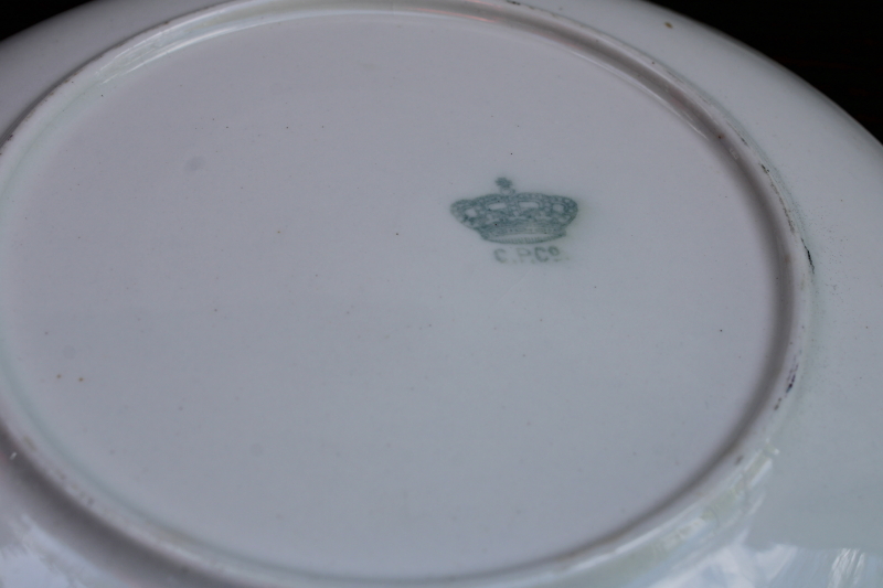 photo of antique china plate, early 1900s vintage souvenir of up north Minong Wisconsin  #3