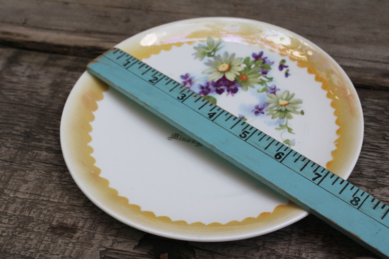 photo of antique china plate, early 1900s vintage souvenir of up north Minong Wisconsin  #4