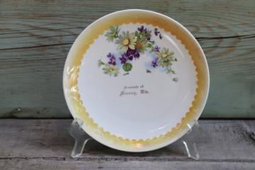 catalog photo of antique china plate, early 1900s vintage souvenir of up north Minong Wisconsin 