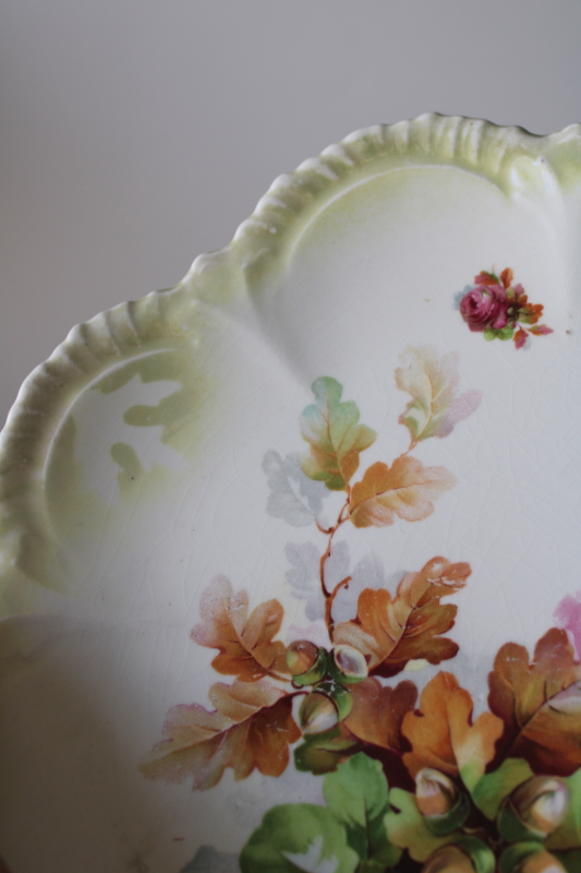 photo of antique china plate, roses w/ oak leaves & acorns fall season romantic floral early 1900s  #3