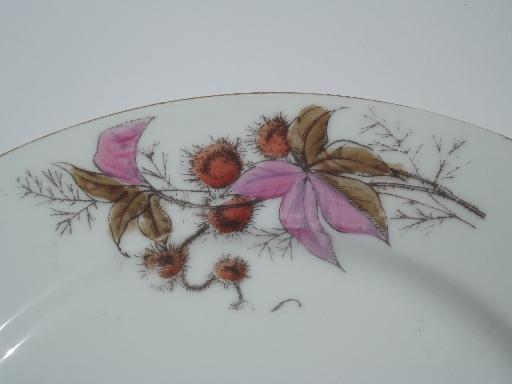 photo of antique china plates and bowls, butterfly moth and horse chestnut art 39.50 #6