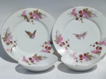 catalog photo of antique china plates and bowls, butterfly moth and horse chestnut art 39.50