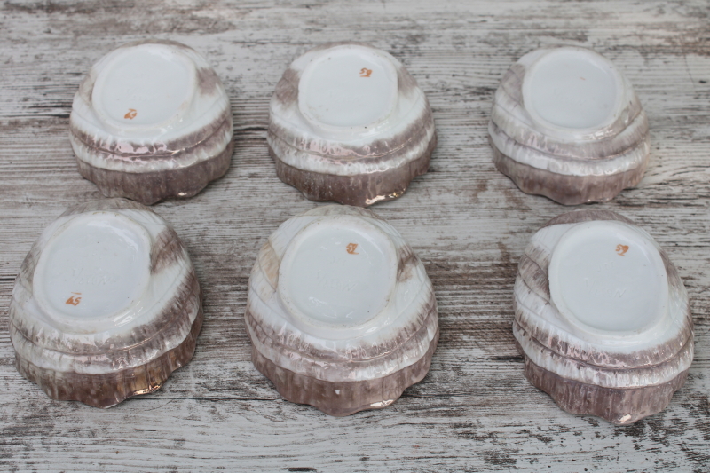 photo of antique china sea shell oyster dishes, set of six bowls, soup, salad or dessert dishes  #6